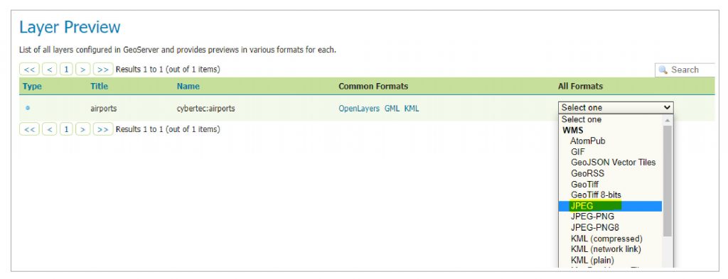 Figure 8 Layer preview – WMS