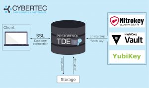 Manage encryption keys with TDE