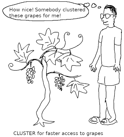 a man is happy to find a CLUSTER of grapes on a vine