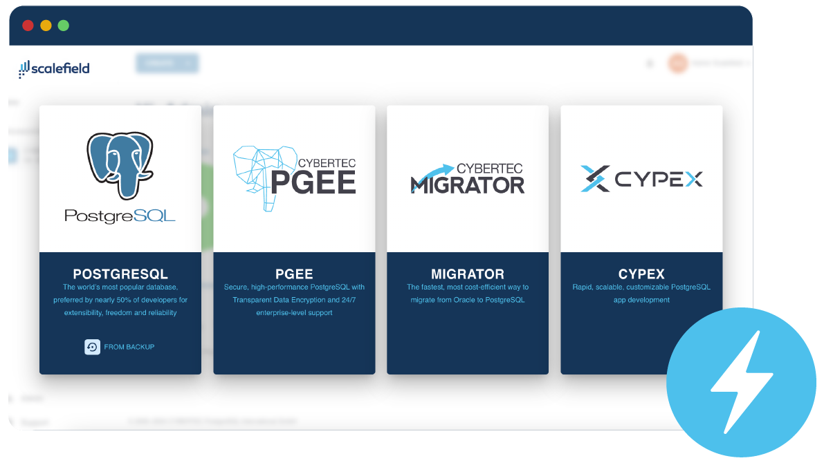 CYBERTEC Scalefield