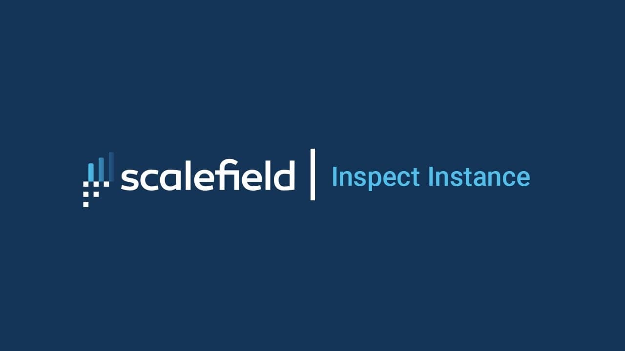 Inspect Instance