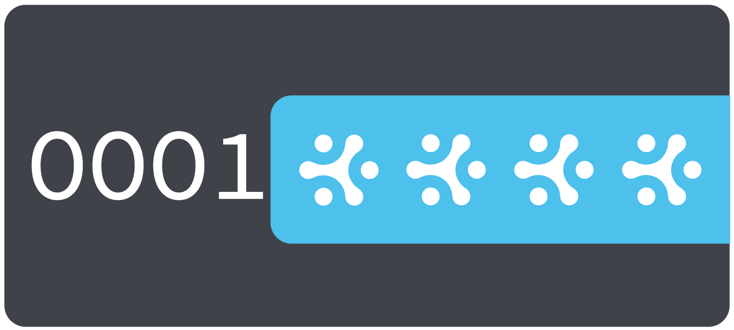 Data masking